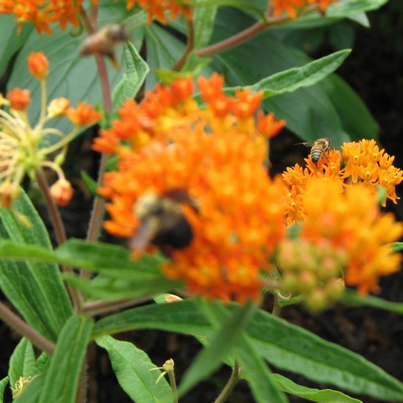 Welcome to Mama Llama's Cozy Closet! - Picture 10 of 15